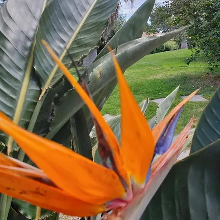 Luna Rossa Aparthotel