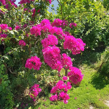 Luna Rossa Aparthotel 3*